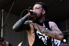 In-Dying-Lights-Metal-Kingdom-1106-2022-StS-01181