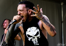 In-Dying-Lights-Metal-Kingdom-1106-2022-StS-01302
