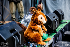 Tales-of-Ratatoesk-Metal-Kingdom-Festival-Samstag-11-06-2022-MM-7121