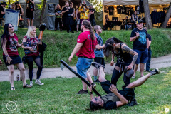 Totenlegion-Metal-Kingdom-Festival-Gaukoenigshofen-11-06-2022-RH-MKF_3545 Totenlegion-Metal-Kingdom-Festival-Gaukoenigshofen-11-06-2022-RH-MKF_3545