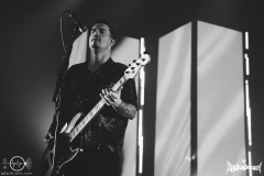 beartooth-koeln-palladium-11-10-24-lw-14