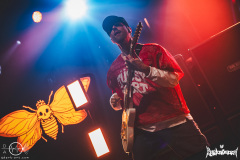 landmvrks-koeln-palladium-11-10-24-lw-1