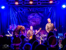Dieversity-Darmstadt-Oetinger_Villa-11-12-2021-TF_1