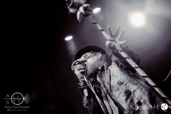 Circus of FoolsDSC_0215