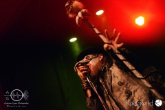 Circus of FoolsDSC_0216