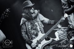 Circus of FoolsDSC_0314