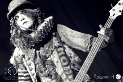 Circus of FoolsDSC_0413