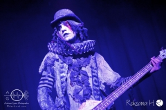 Circus of FoolsDSC_0506