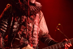 Circus of FoolsDSC_0801