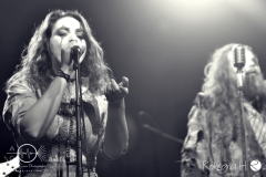 Circus of FoolsDSC_0830