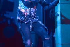 Circus of FoolsDSC_0877