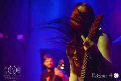 SasquatchDSC_1385