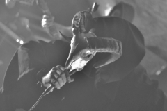 Boötes-Void_15.02.2019_b-Hof-Würzburg_DSC_4078