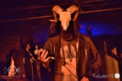 Boötes-Void_15.02.2019_b-Hof-Würzburg_DSC_4143