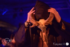 Boötes-Void_15.02.2019_b-Hof-Würzburg_DSC_4204