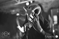 Boötes-Void_15.02.2019_b-Hof-Würzburg_DSC_4225