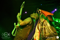 Reysswolf_Mittelalter-Rockt-das-Speckdrumm_Ansbach_DSC_7569