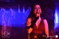 Brocelian_Symphonic-Night_WUE_0900