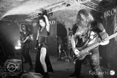 Brocelian_Symphonic-Night_WUE_0920