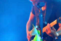 Brocelian_Symphonic-Night_WUE_0943