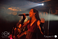 Brocelian_Symphonic-Night_WUE_0989