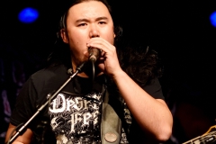 Hailstone_001_AKR_4690