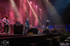 The-Story-So-Far-Frankfurt-Festhalle-18-11-2022-MaB-DSC1987