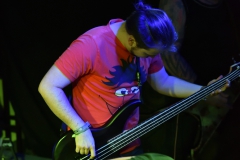 Needle_23_MAT_1519