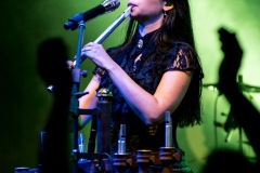 DSC03029
