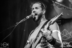 alveole-nuernberg-hirsch-2021-08-01-0011