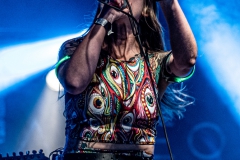 alveole-nuernberg-hirsch-2021-08-01-9742