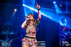 alveole-nuernberg-hirsch-2021-08-01-9762