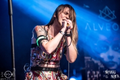 alveole-nuernberg-hirsch-2021-08-01-9781