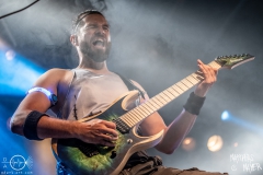 alveole-nuernberg-hirsch-2021-08-01-9812