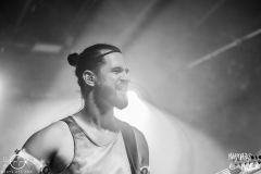 alveole-nuernberg-hirsch-2021-08-01-9828