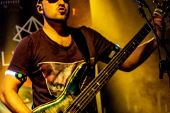 alveole-nuernberg-hirsch-2021-08-01-9835