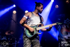 alveole-nuernberg-hirsch-2021-08-01-9850