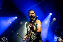 alveole-nuernberg-hirsch-2021-08-01-9853