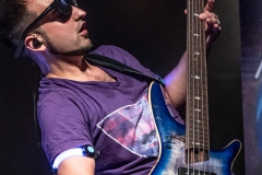 alveole-nuernberg-hirsch-2021-08-01-9857