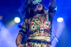 alveole-nuernberg-hirsch-2021-08-01-9880