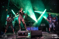 alveole-nuernberg-hirsch-2021-08-01-9941