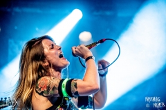 alveole-nuernberg-hirsch-2021-08-01-9948