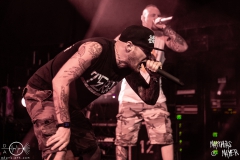 blut-und-tod-nuernberg-hirsch-2021-08-01-0053