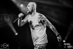 blut-und-tod-nuernberg-hirsch-2021-08-01-0059