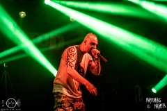 blut-und-tod-nuernberg-hirsch-2021-08-01-0108