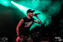 blut-und-tod-nuernberg-hirsch-2021-08-01-0135