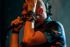 needle-nuernberg-hirsch-2021-08-01-9524