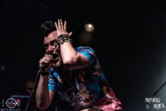 needle-nuernberg-hirsch-2021-08-01-9537