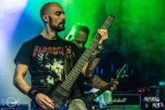 needle-nuernberg-hirsch-2021-08-01-9555