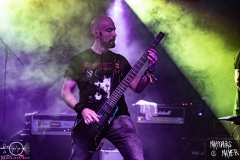 needle-nuernberg-hirsch-2021-08-01-9608